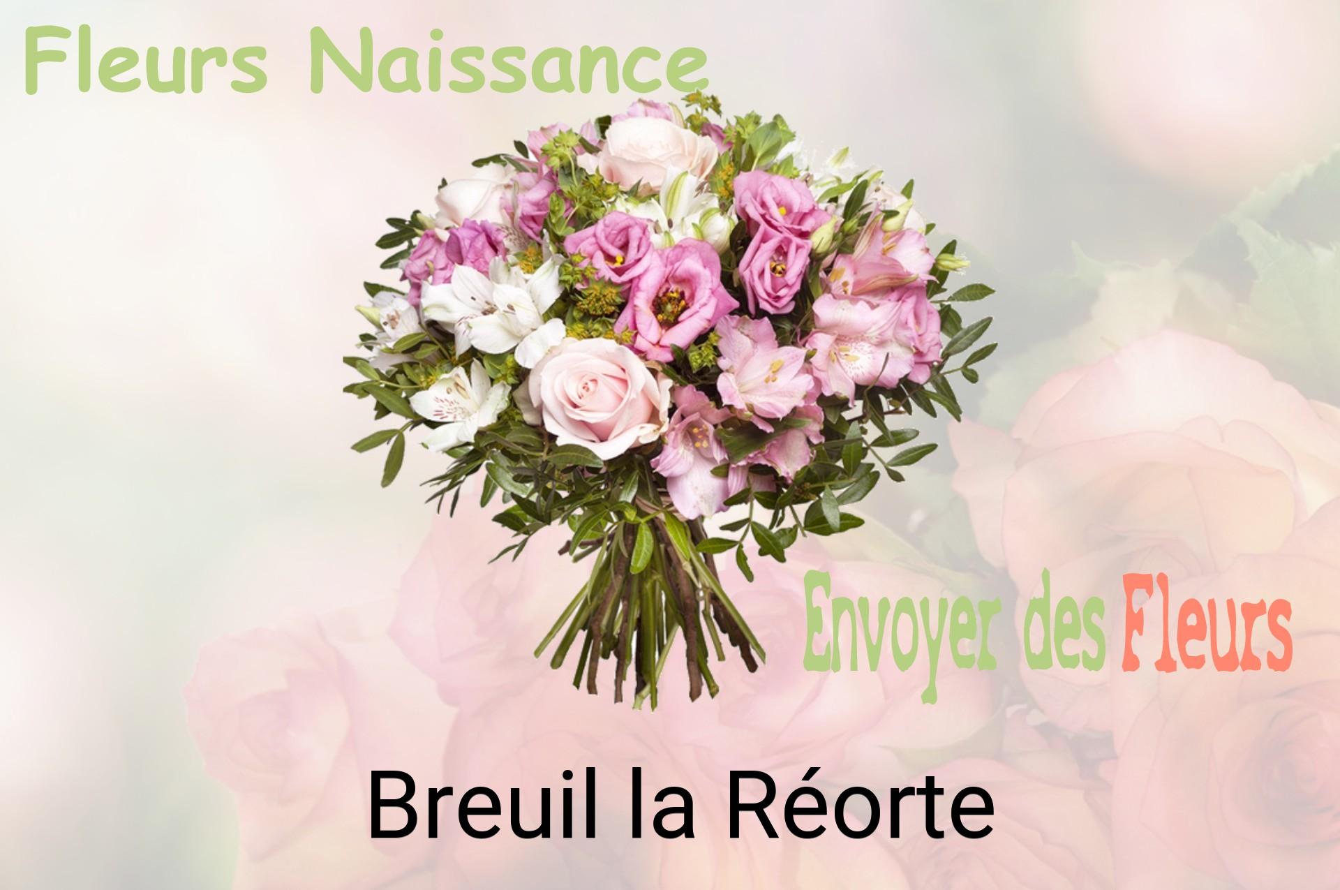 Bouquet de fleurs de naissance livré à Breuil-la-Réorte